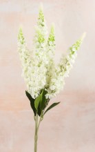 Artificial Stock Bunch Ivory 58cm