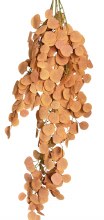 Autumn Eucalyptus Hanging Garland 132cm Rust