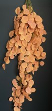 Autumn Eucalyptus Hanging Garland 132cm Rust