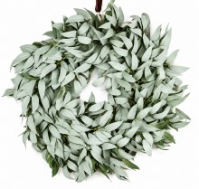 Willow Door Wreath 45cm
