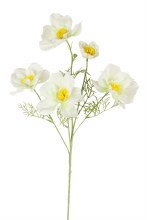 Artificial Cosmos Stem 85cm Ivory- Faux Flower Spray 5 heads, flocked stem