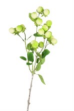 Faux Raspberry Stem 60cm- Artificial Spray White/ Green