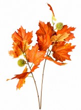 Autumn Grape Leaf Burnt Orange 28"