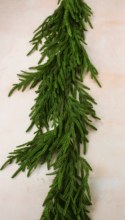 Faux Spruce Norfolk Pine Garland 5ft