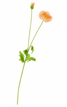 Faux Poppy Stem 43" Peach