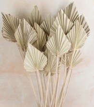 Dried PalmSpear x 20 White Wash/ Pale Pink