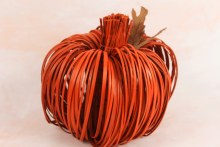 Pumpkin Ting Ting 24cm