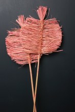 Boho Leaves Pink x 2 stems