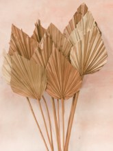 Dried Palm Spear x 10 Natural