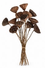 Dried Lotus Stems x 12 60cm