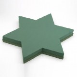 Oasis Floral Foam Star Of David 51x54cm Oasis Floral Foam Star Of David 51x54cm