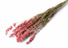 Dried Delphinium Pink 100g Dried Delphinium Pink 100g