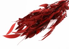 Dried Amber Fruit Foliage Red 75g