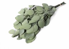 Eucalyptus Populus Asparagus Green 75g Eucalyptus Populus Asparagus Green 75g