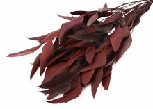 Dried Eucalyptus Willow Red 75g Dried Eucalyptus Willow Red 75g