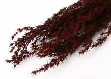 Dried Grabia Red 75g Dried Grabia Red 75g