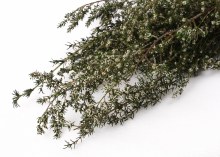 Dried Grabia 75g Dried Grabia 75g