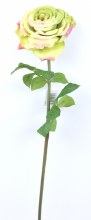 Pale green silk rose stem 70cm
