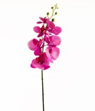 Artificial Orchid Phalaenopsis Real Touch Stem Purple Artificial Orchid Phalaenopsis Real Touch Stem Purple