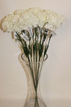 Silk Ivory carnations x 6-46cm
