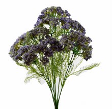 Artificial Queen Anne Lace flower x 9 Stems Lavender