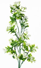Additional picture of Faux Astible Stem 68cm