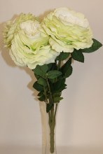 Large green rose bunch x 5