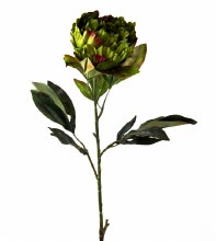 Artificial Peony Flower Long Stem Green/ Red