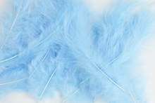 Decorative Fluff Feathers x 20 Light Blue 15cm approx