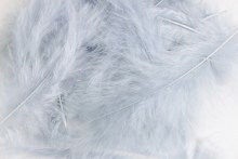 Decorative Fluff Feathers Grey x 20pcs 15cm approx