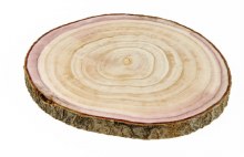 Wood Slice Approx 30cm