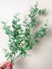 Eucalyptus Stem Green 70cm Eucalyptus Stem Green 70cm