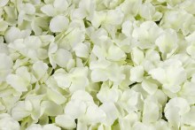 Artificial Hydrangea Flower Wall Panel 60cm x 40cm Ivory Artificial Hydrangea Flower Wall Panel 60cm x 40cm Ivory