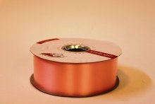 Champagne polytie floirst ribbon, 100yds-P16