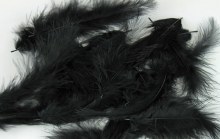Decorative Fluff Feathers Black x 20