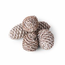 Muirii Cone 500g White wash