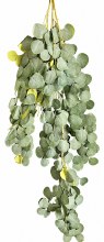 Eucalyptus Hanging Garland 132cm Frosted