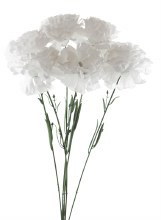 Silk white carnations x 6-46cm