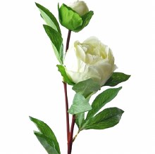 Ivory Peony Rose artificial flower 76cm