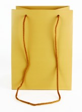 Gold Florist Gift Bag x 10