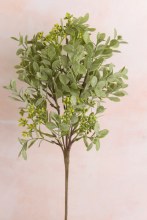 Boxwood Stem 38cm Lemon