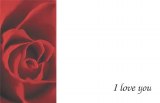 50 x I love you florist gift cards 50 x I love you florist gift cards