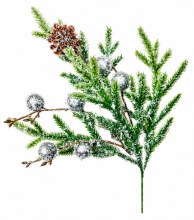Christmas Snowy Pine Berry Pick 11"