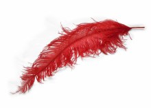 Ostrich Feathers x 5 Red