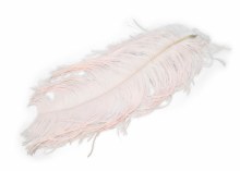 Ostrich Feathers x 5 Light Pink