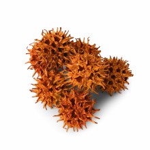 Dried Amberbaum Pods 250g