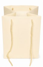 Florist bag x 10 cream