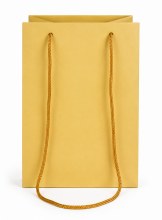 Gold Florist Gift Bag x 10