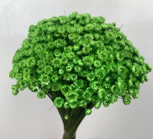 Dried Glixia Green 100g