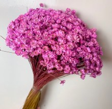 Dried Glixia Pink 100gr
